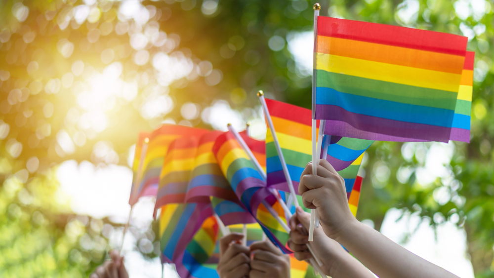 Orgullo gay y diversidad sexual